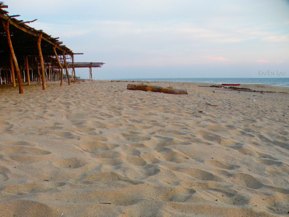 Nota sobre Playa viva, paraíso en Guerrero