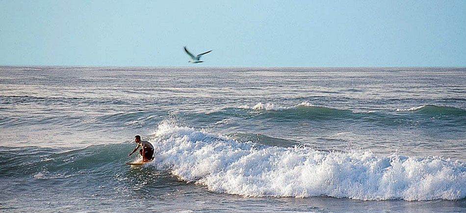 Nota sobre Los Cabos  Baja California Sur 