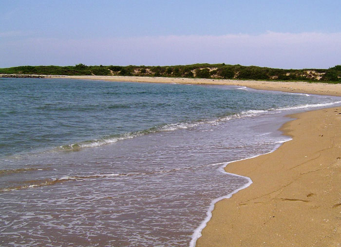 Nota sobre Recorriendo la costa del Golfo de México