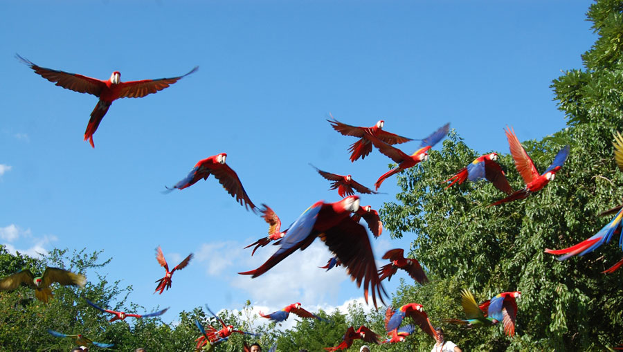 Nota sobre Parque Aluxes, Chiapas