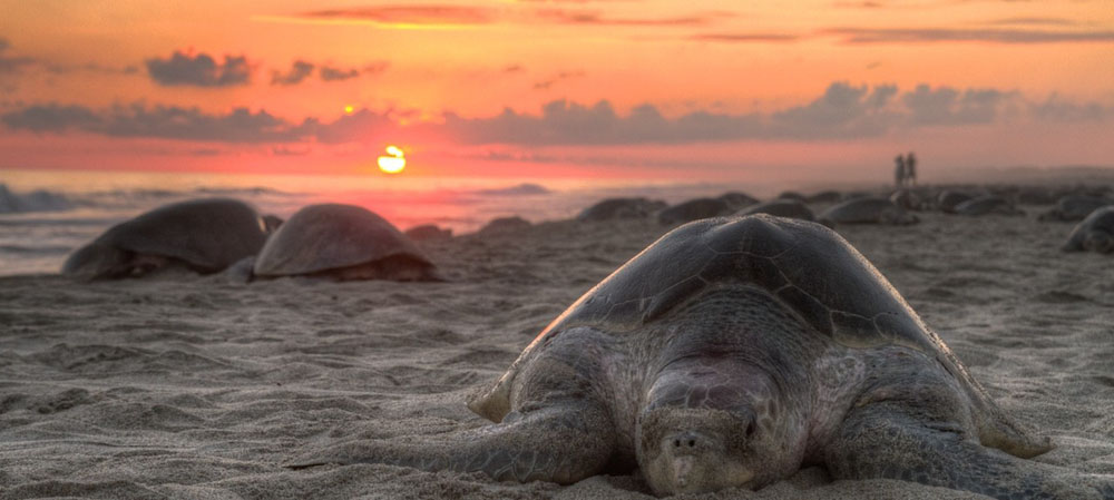 Nota sobre Fin de semana en las playas de La Paz, Baja California