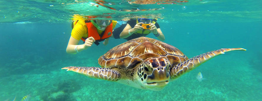 Nota sobre Parque Punta Sur, Quintana Roo