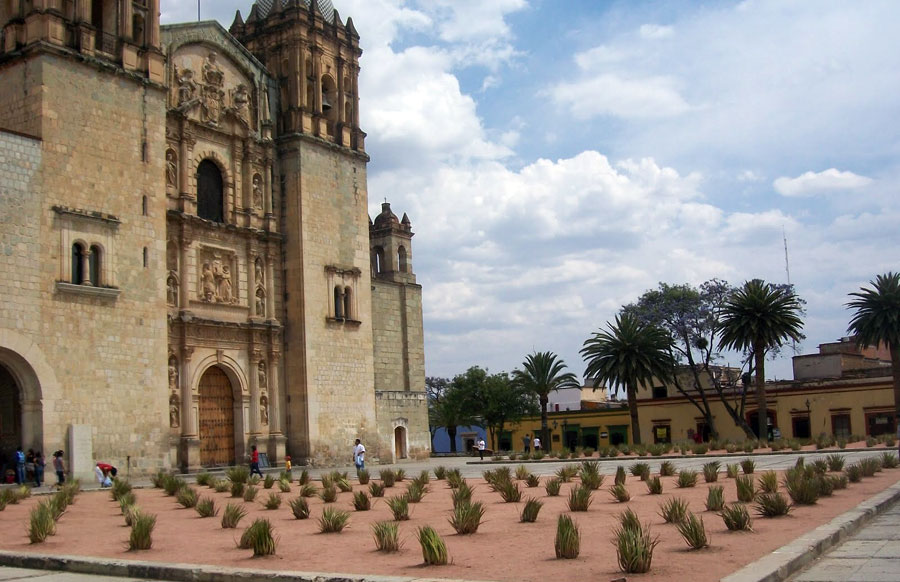 Nota sobre Ruta Tule - Mitla, Oaxaca