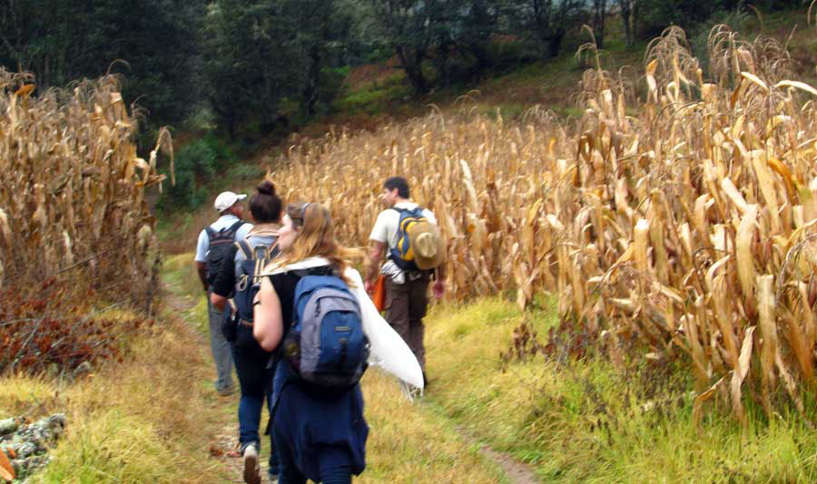 Nota sobre Ruta Pueblos Mancomunados, Oaxaca