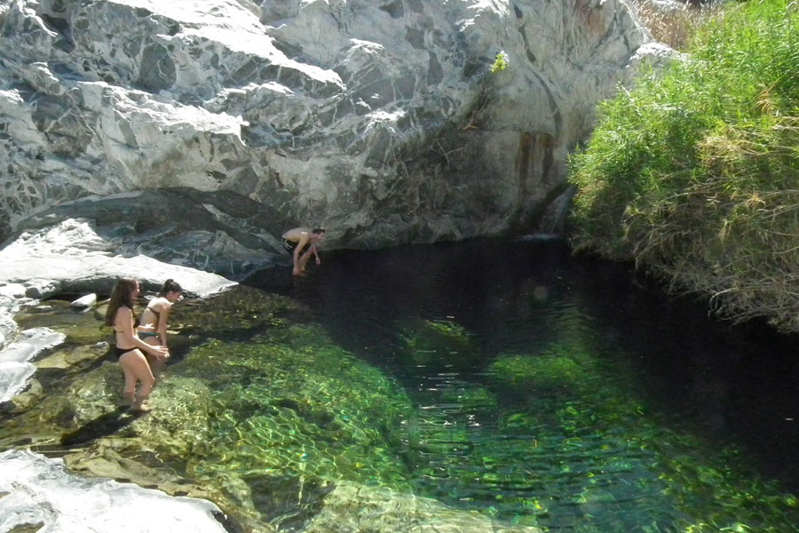 Nota sobre Sierra La Laguna, Baja California Sur