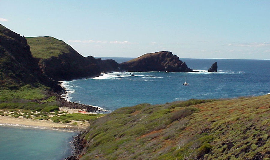 Nota sobre Reserva de la biosfera El Vizcaíno, Baja California Sur