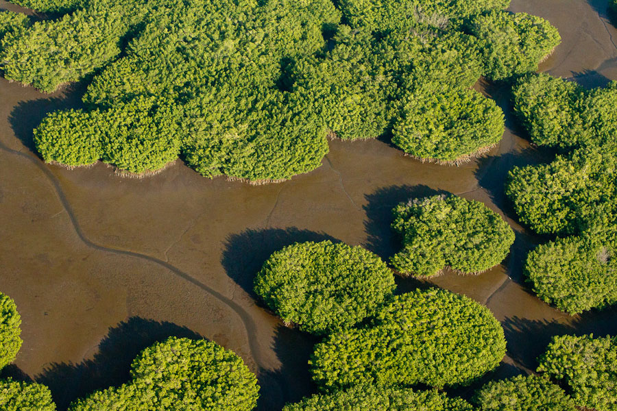 Nota sobre Reserva de la Biosfera Mapimí, Durango, Chihuahua y Coahuila