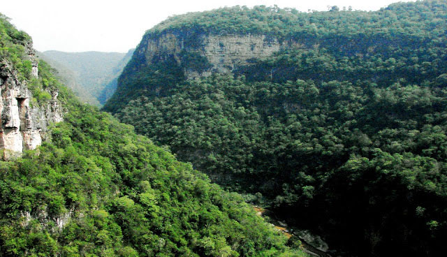 Nota sobre Reserva de la biosfera Lacantún