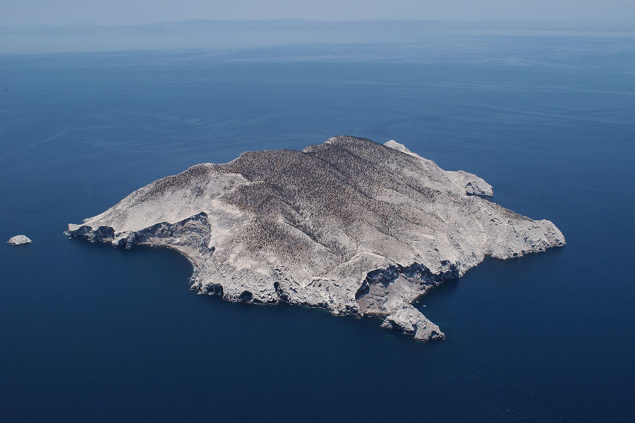 Nota sobre Reserva de la Biósfera Isla San Pedro Mártir, Baja California