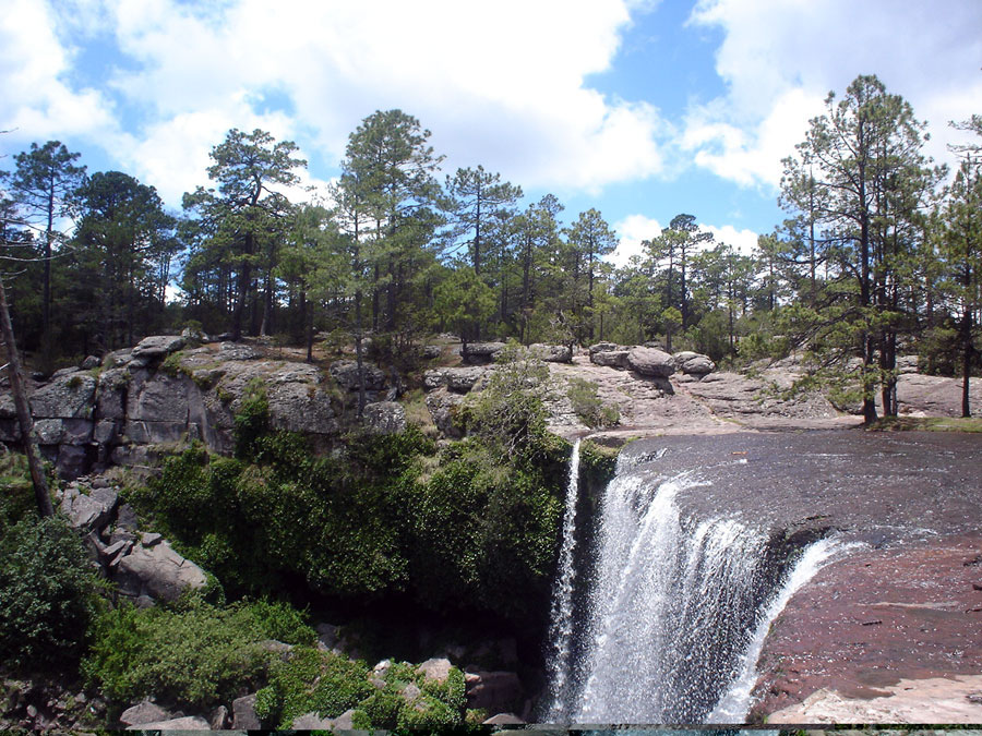 Nota sobre Reserva de la biosfera de Los Janos, Chihuahua