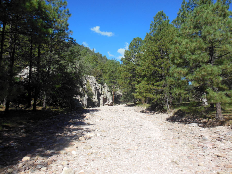 Nota sobre Reserva de la Biosfera La Michilía, Durango