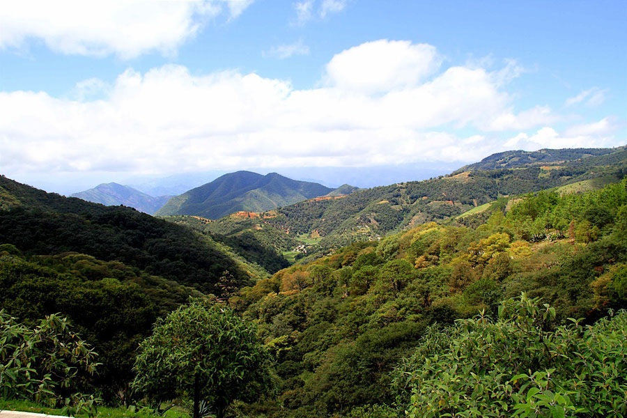 Nota sobre Reserva de la biosfera La Sierra Gorda, Guanajuato