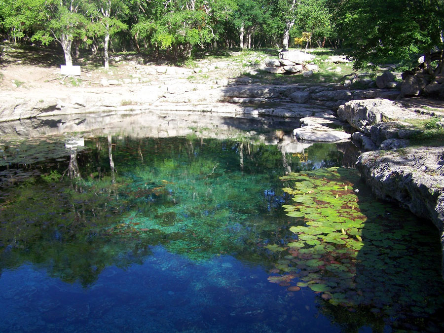 Nota sobre El Cenote Ox Bel Ha, Quintana Roo