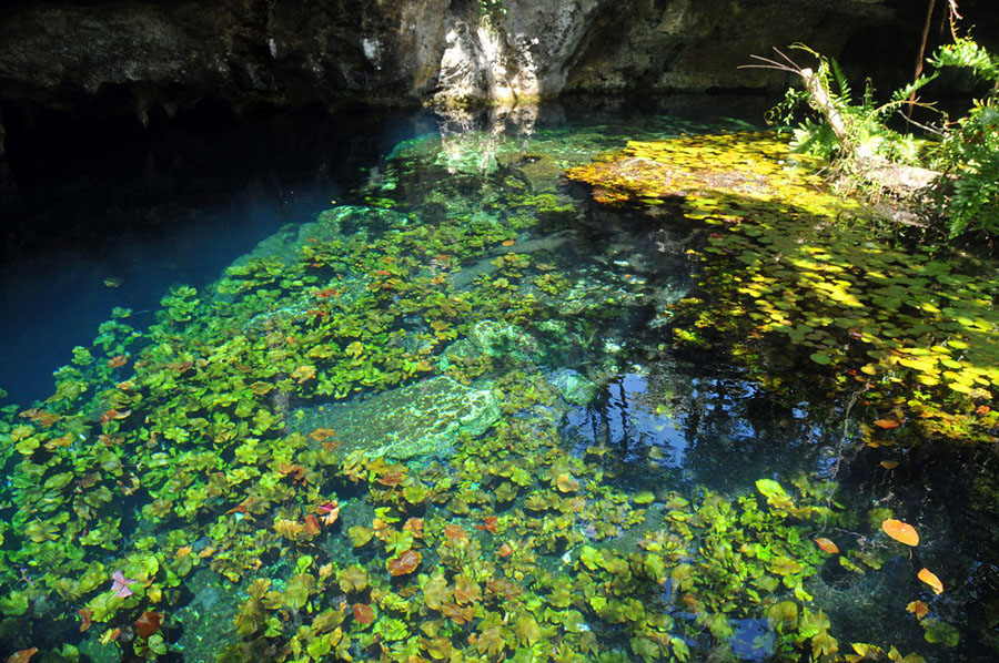 Nota sobre Cenote Yokdzonot, Yucatán