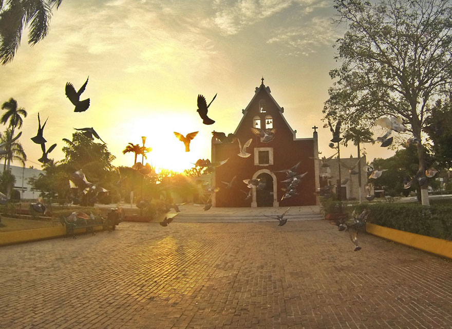 Nota sobre Festival de las Aves, Yucatán