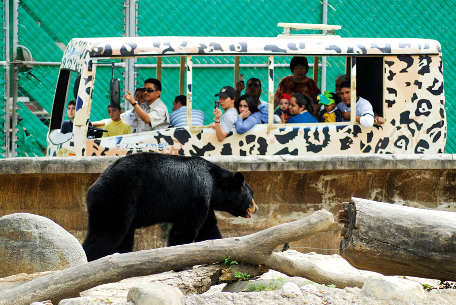 Nota sobre Zoológico Tamatán, Tamaulipas