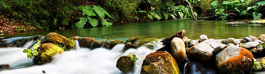 Nota sobre Reserva Ecológica de la Biósfera de El Cielo, Tamaulipas