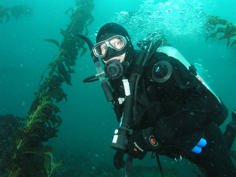 Nota sobre Buceo en Sonora