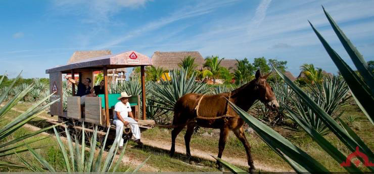 Nota sobre Hacienda Sotuta de Peón, Yucatan