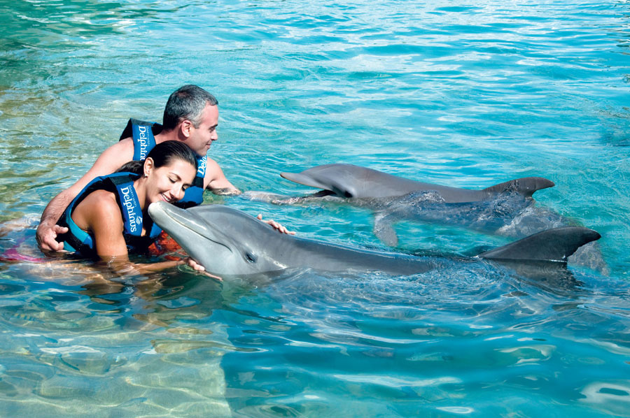 Nota sobre Delphinus