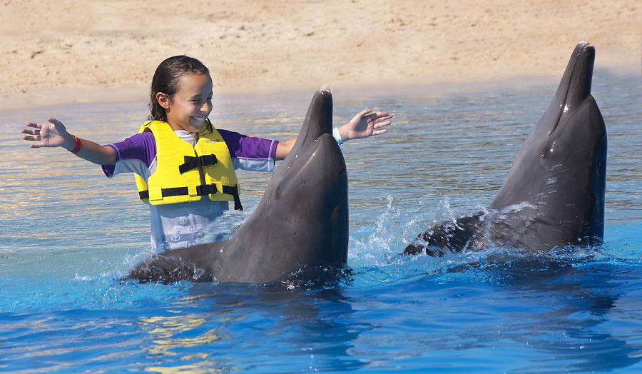 Nota sobre Dolphinaris