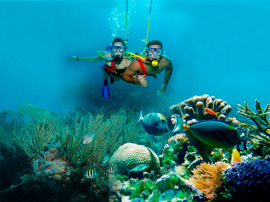 Nota sobre Acuario de Arrecife de Coral de Xcaret