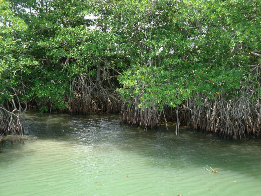 Nota sobre Rincones de ensueño, Campeche