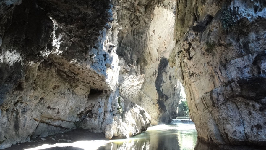 Nota sobre Sima de las Cotorras, Chiapas