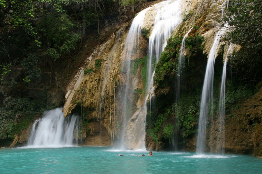 Nota sobre Finca San Francisco, Chiapas