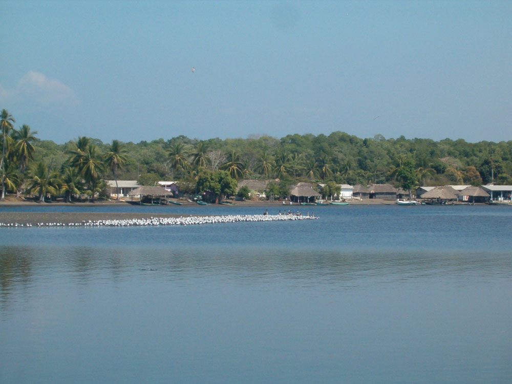 Imagen de Barra Zacapulco