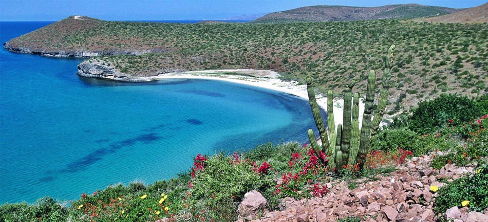 Nota sobre Delicias y playas en La Paz Baja California Sur