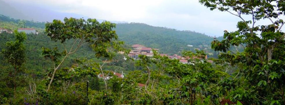 Nota sobre Finca Santo Domingo, Chiapas