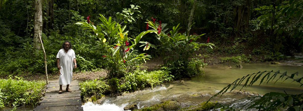 Nota sobre Campamento Ecoturístico Top Che, Chiapas