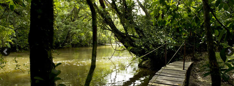 Nota sobre Campamento Turístico Lacanjá Chansayab, Chiapas