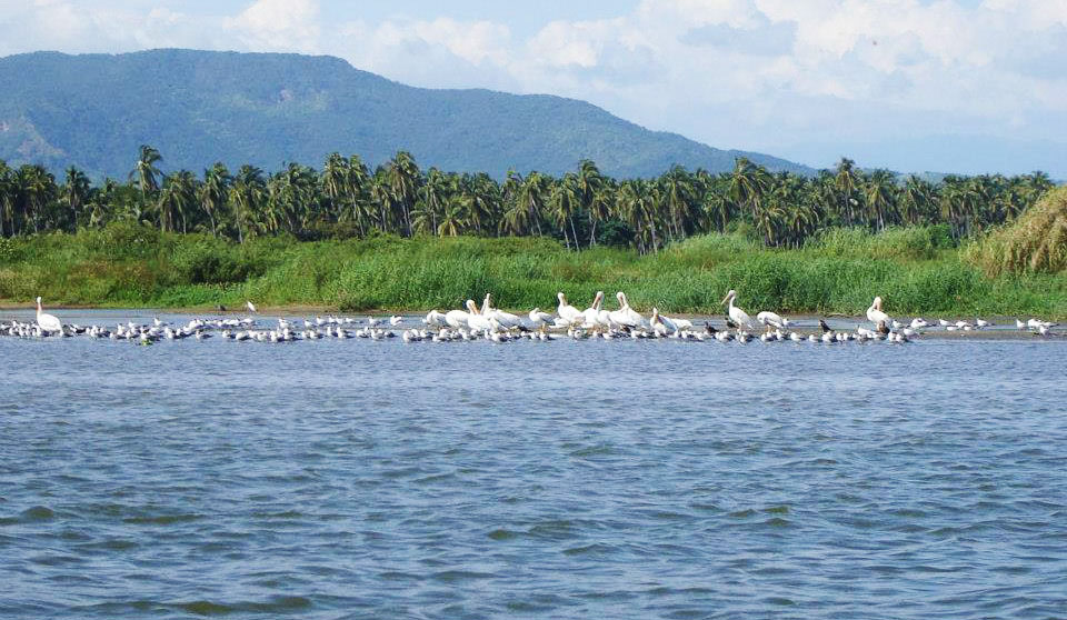 Nota sobre Laguna de Coyuca y Pie de la Cuesta, Guerrero