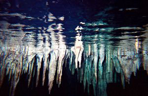 Nota sobre Buceo en tulum - Cenotes