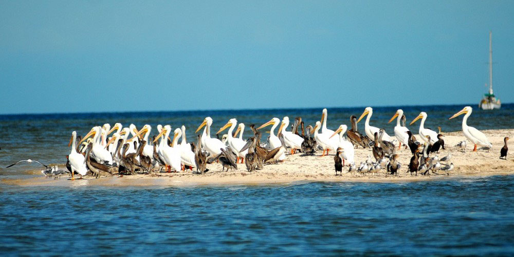 Nota sobre Dzilam de Bravo, aventura ecoturística