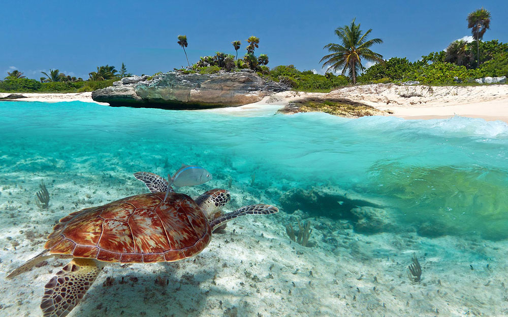 Nota sobre Playa del Carmen, el tesoro del Caribe