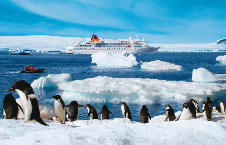 Nota sobre Crucero a Brasil