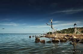 Nota sobre Isla Cerritos, arqueología y ecoturismo en las costas yucatecas