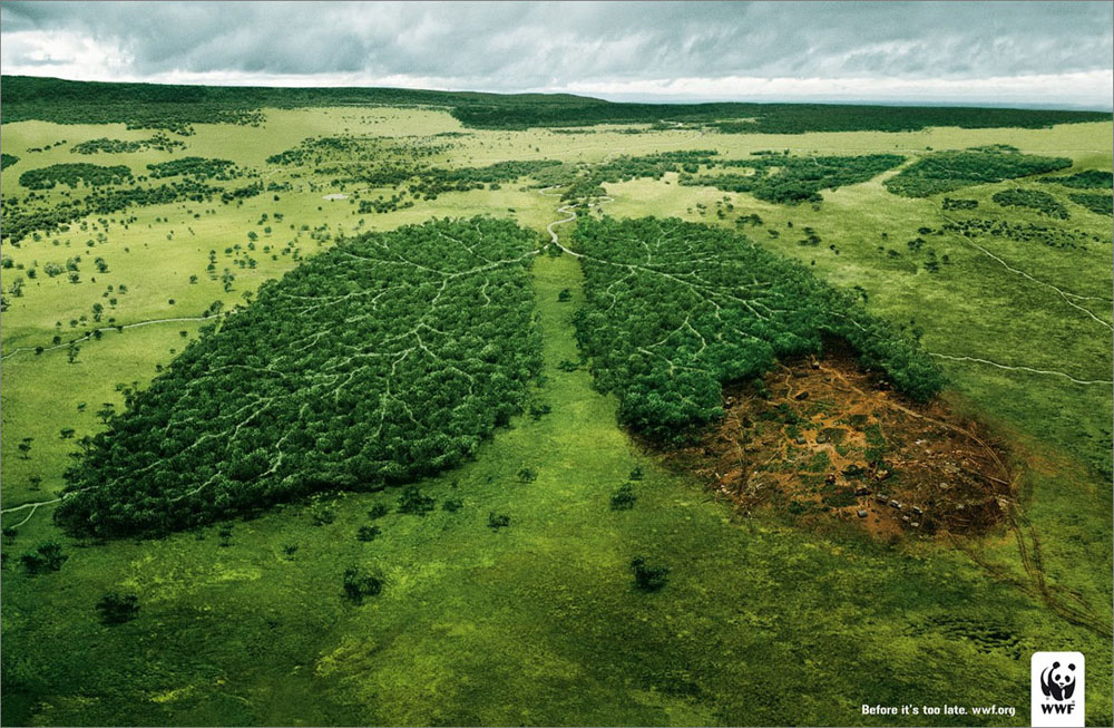 Nota sobre Contacto con la naturaleza