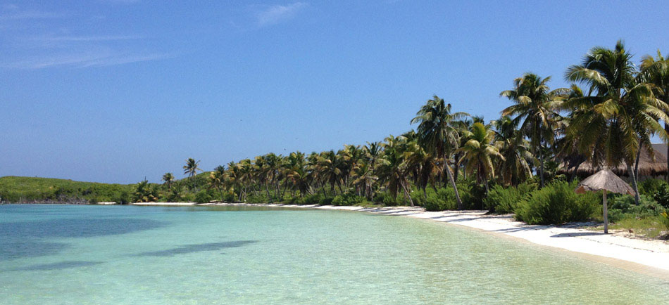 Nota sobre Isla Contoy La isla intocable del Caribe mexicano