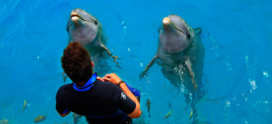 Nota sobre Acuario interactivo en Cancún