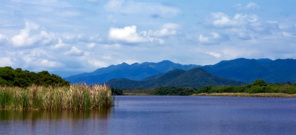 Nota sobre El lado ecológico de una tranquila ciudad