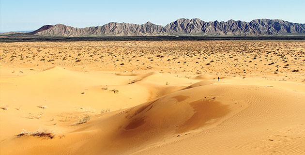 Nota sobre Reserva de la Biósfera El Pinacate y Gran Desierto de Altar, Sonora