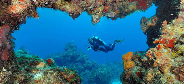 Nota sobre La hermosa isla de Cozumel en el caribe mexicano