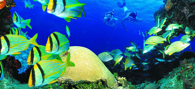 Nota sobre La hermosa isla de Cozumel en el caribe mexicano