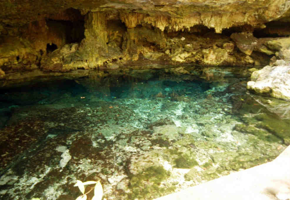 Nota sobre Puerto Morelos y la Ruta de los Cenotes