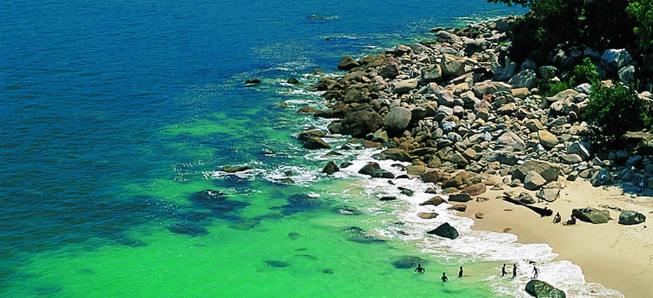 Nota sobre Bonanza en las Playas de Puerto Vallarta