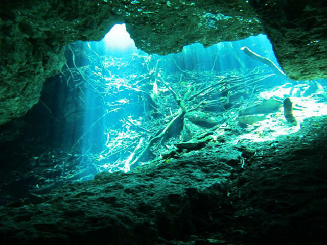 Nota sobre Gran Cenote